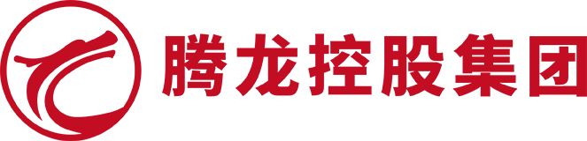 腾龙控股